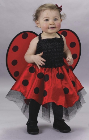 Costumes For All Occasions Fw9666 Lady Bug Infant Costume