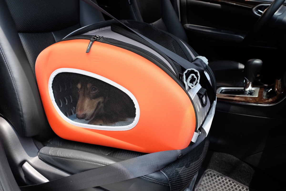 Ibiyaya FS1009-O 5-in-1 EVA Pet Carrier-Stroller Dog-Cat Sling Bag Backpack with Wheels&#44; Car Booster Combo&#44; Orange - Small
