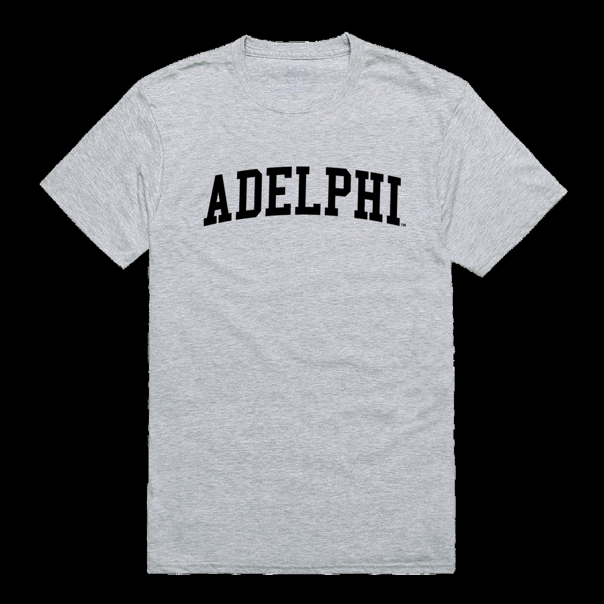 W Republic 500-733-HGY-01 Adelphi University Panthers Game Day T-Shirt&#44; Heather Grey - Small