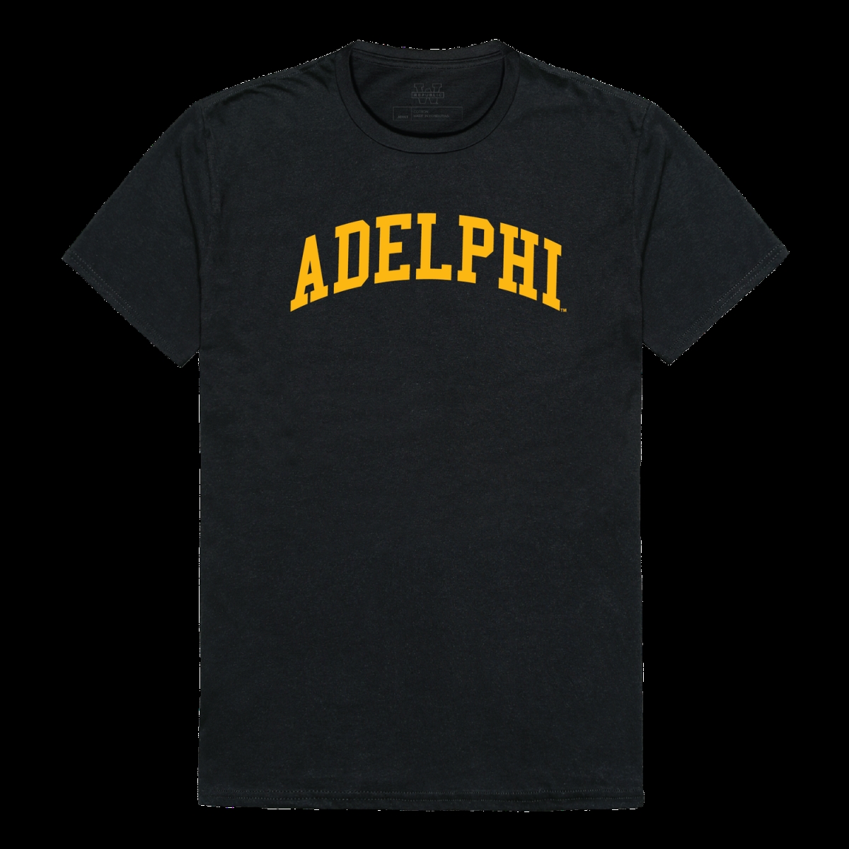 W Republic 537-733-BLK-01 Adelphi University Panthers College T-Shirt&#44; Black - Small