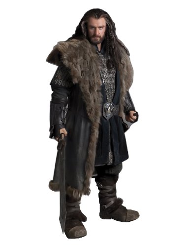 GiftsGoneWild Thorin Okenshield - The Hobbit