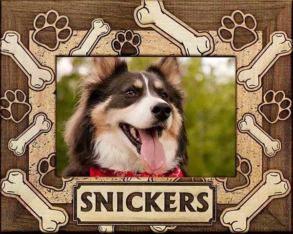 GiftWorksPlus  Giftworks Plus PET0291 Dog Paws & Bones - Reversed- Alder Wood Frame- 8 x 10 In