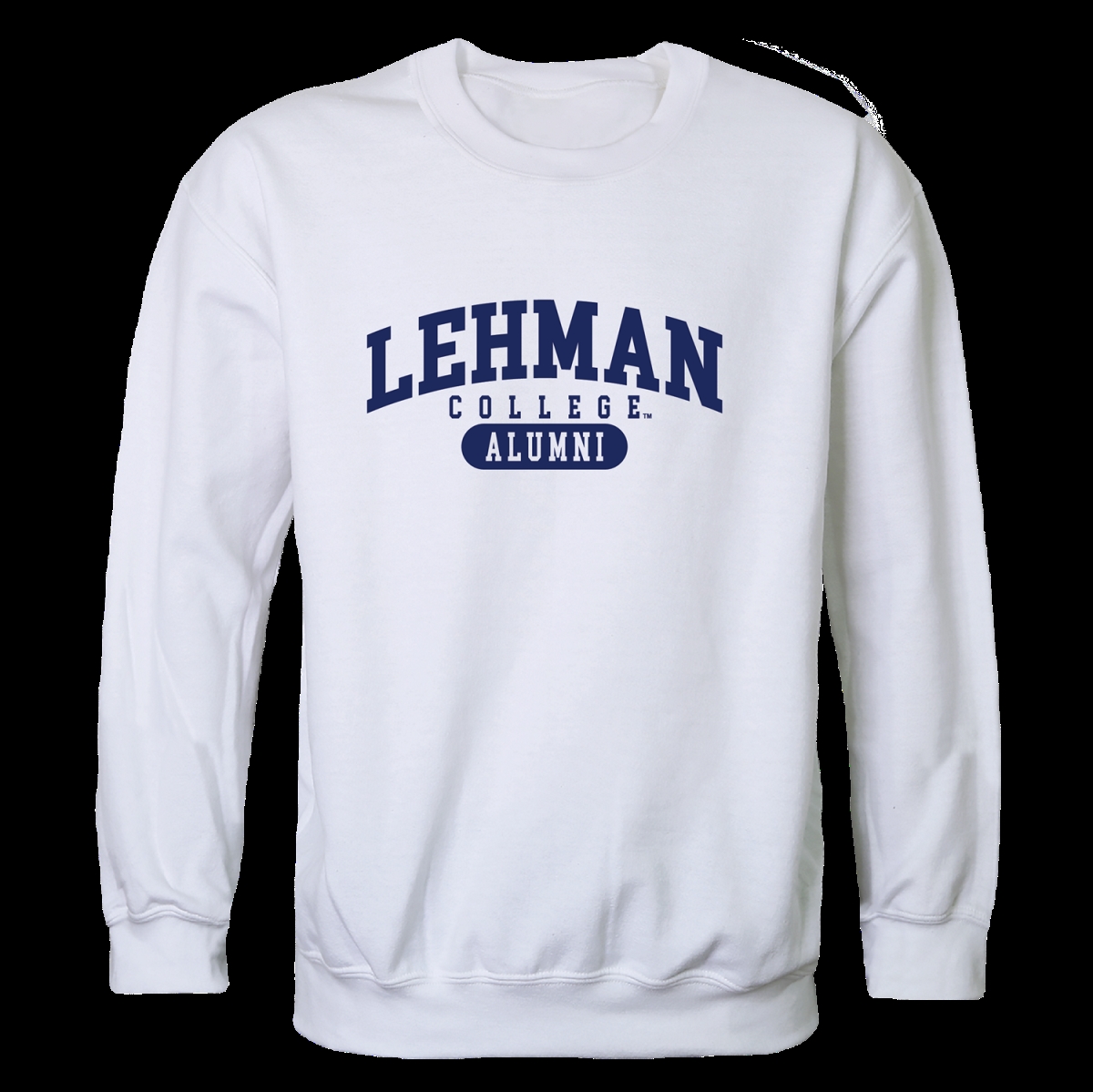 FinalFan City University of New York Lehman College Lightning