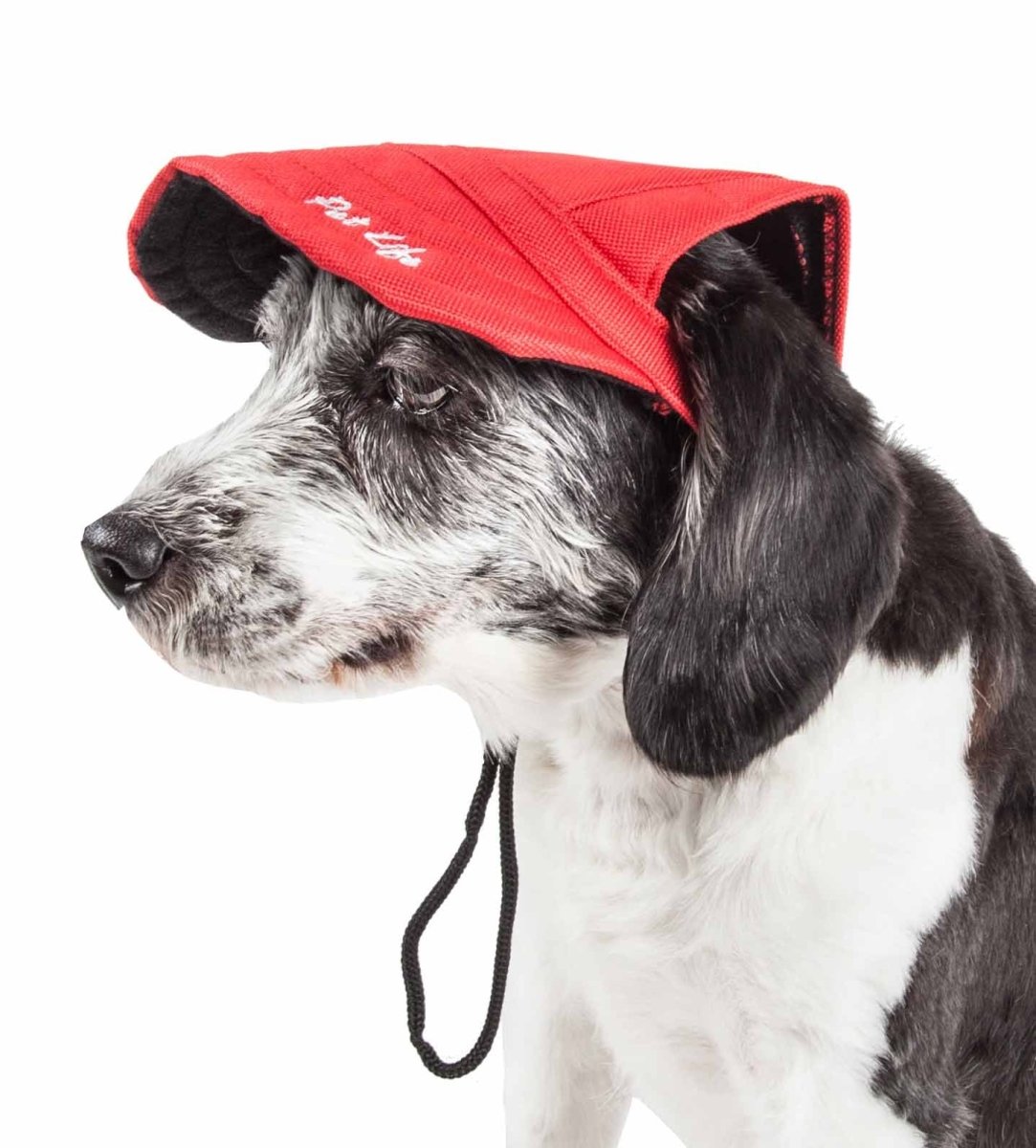 PetPurifiers Cap Tivating UV Protectant Adjustable Fashion Dog Hat Red Large