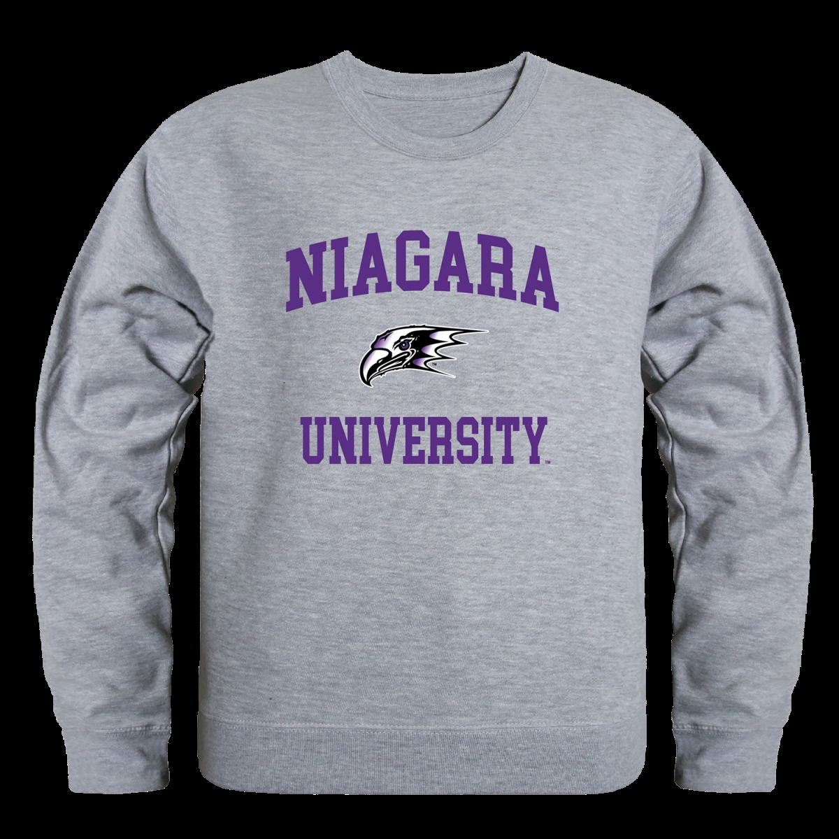 Niagara university online sweatshirt