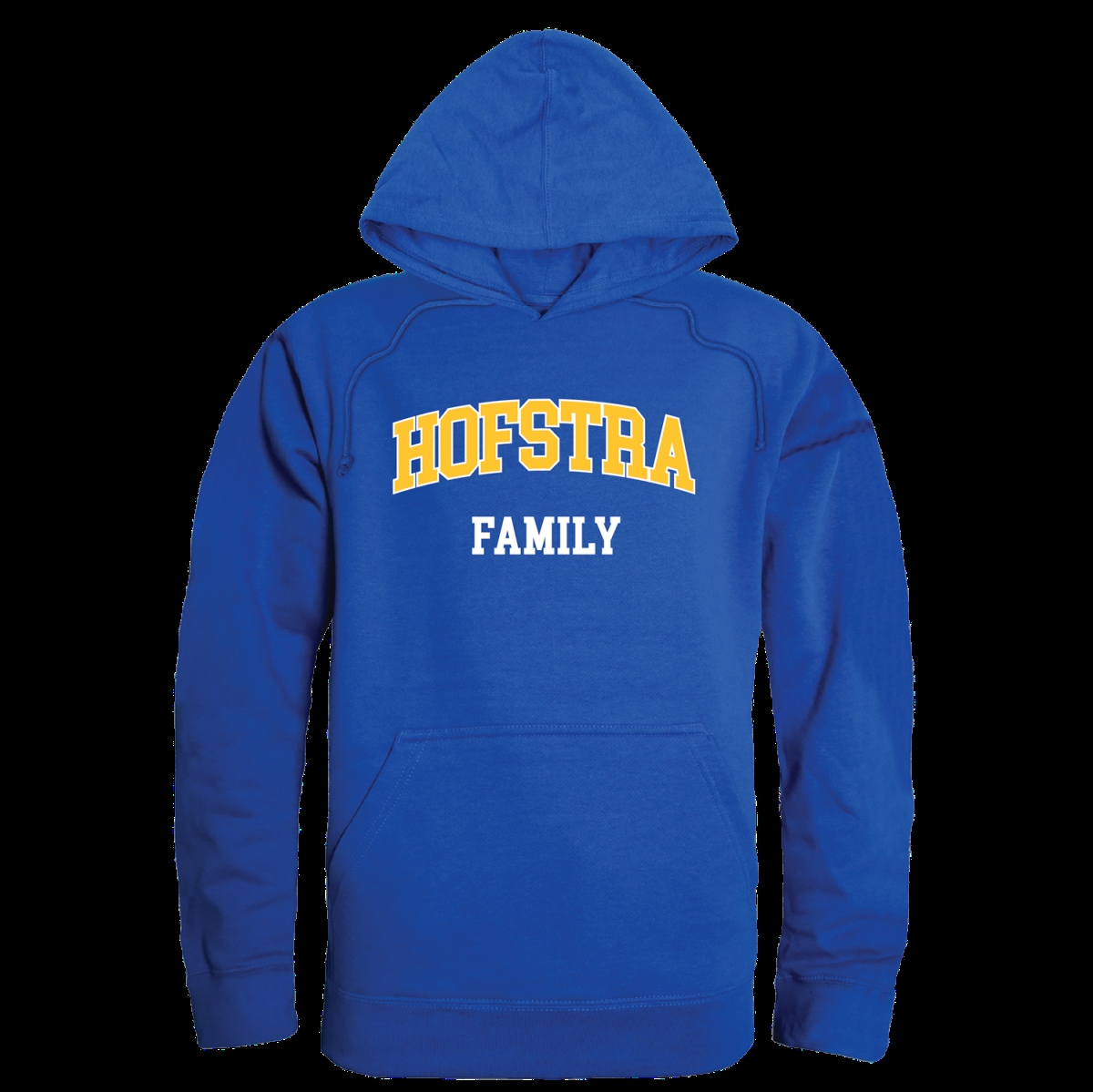 Hofstra hot sale university hoodie