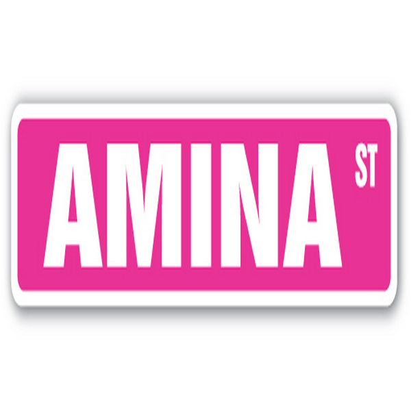 Amistad 4 x 18 in. Childrens Name Room Decal Street Sign - Amina