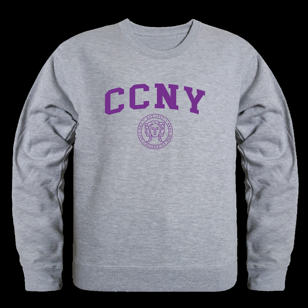 Ccny sweatshirt shop