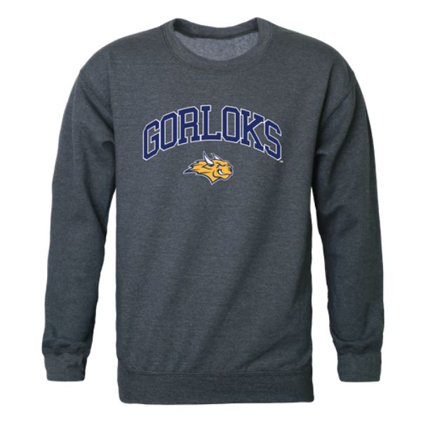 Webster hotsell university sweatshirt