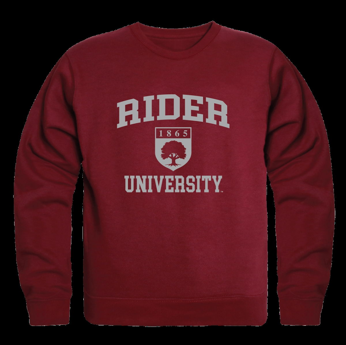 Rider university hot sale sweatshirt