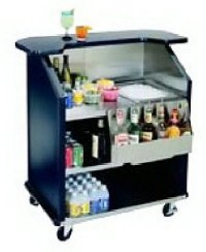 NewestEdition Stainless Portable Bar with- 1 speed rail and- 1 ice bin