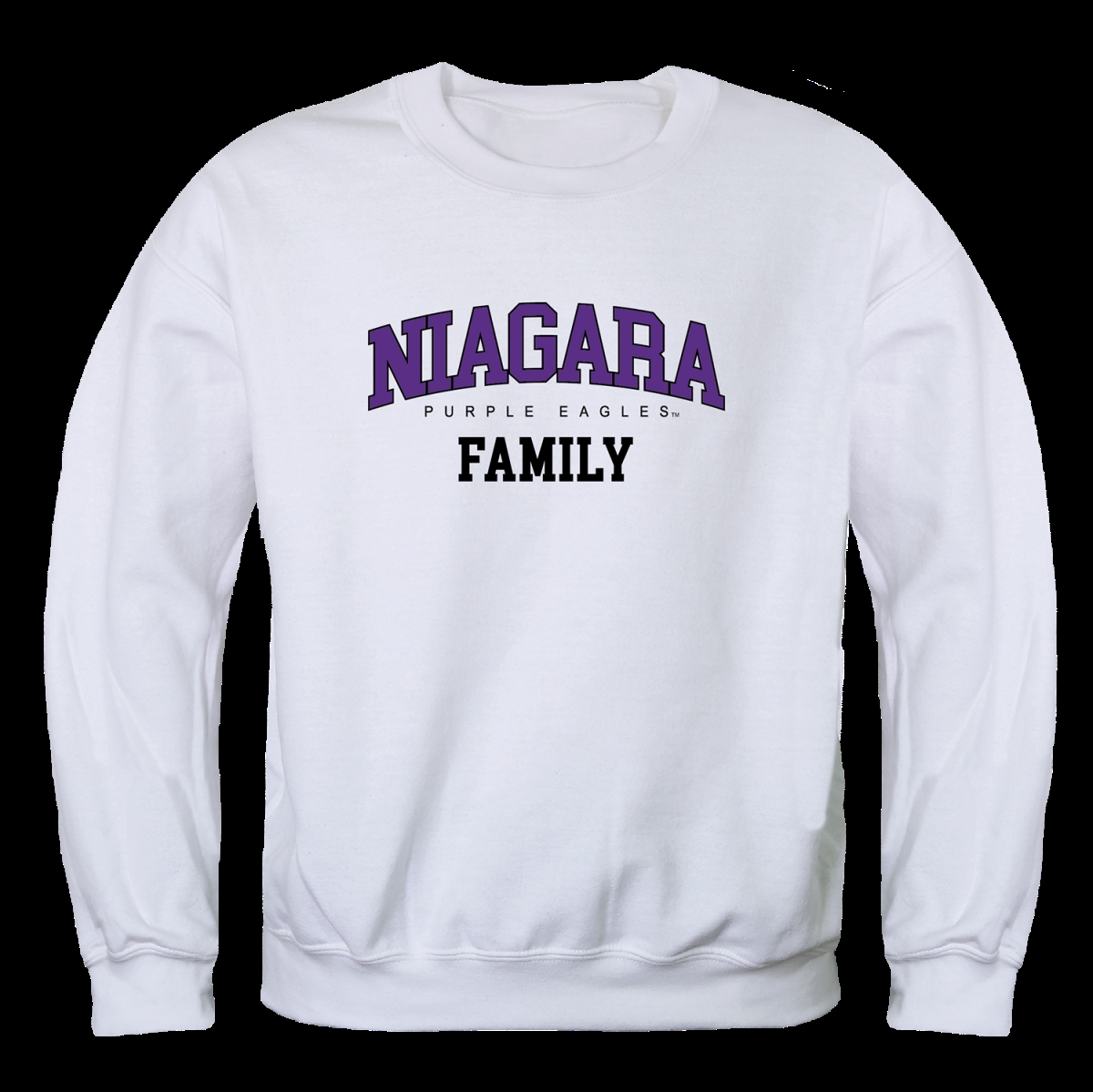 Niagara hot sale university sweatshirt