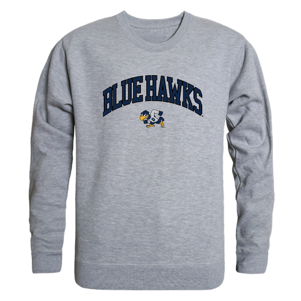FinalFan Dickinson State University Blue Hawks Campus Crewneck Sweatshirt&#44; Heather Grey - Extra Large