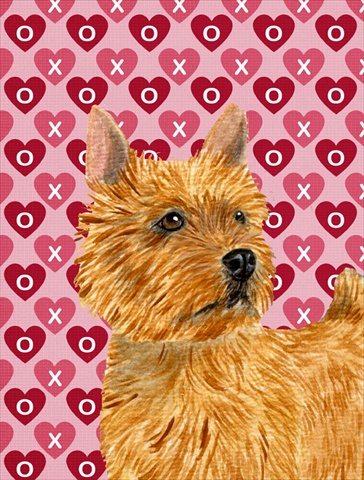 PartyPros Norwich Terrier Hearts Love And Valentines Day Portrait Flag Canvas- House Size
