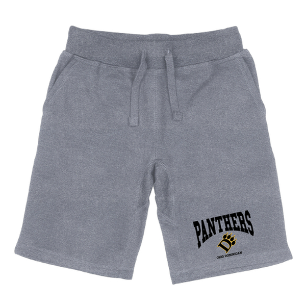 FinalFan Ohio Dominican University Panthers Premium Shorts&#44; Heather Grey - Extra Large