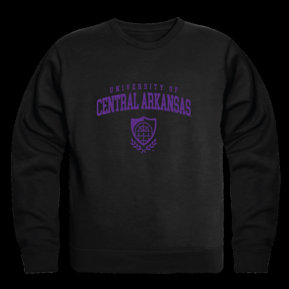 University of best sale central arkansas sweatshirt