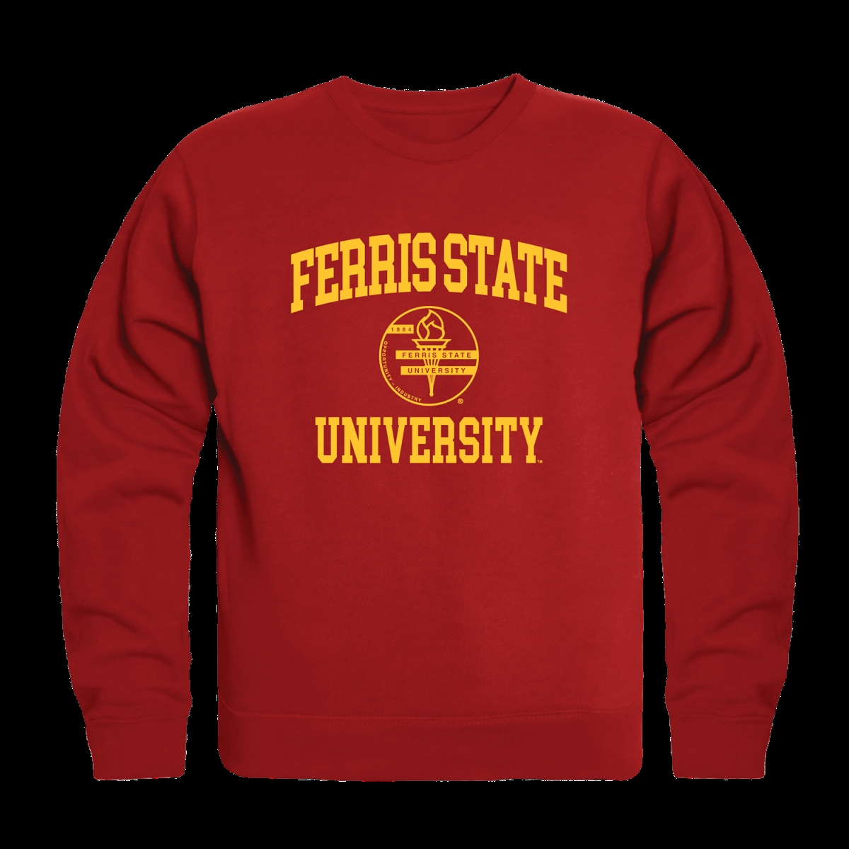 Ferris discount state sweatshirt