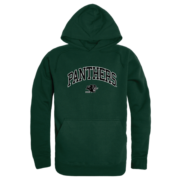 Green hot sale panthers hoodie