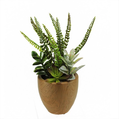 Northlight 12 in. Artificial Mixed Succulents & Fern Plants in a Decorative Faux Wood Pot