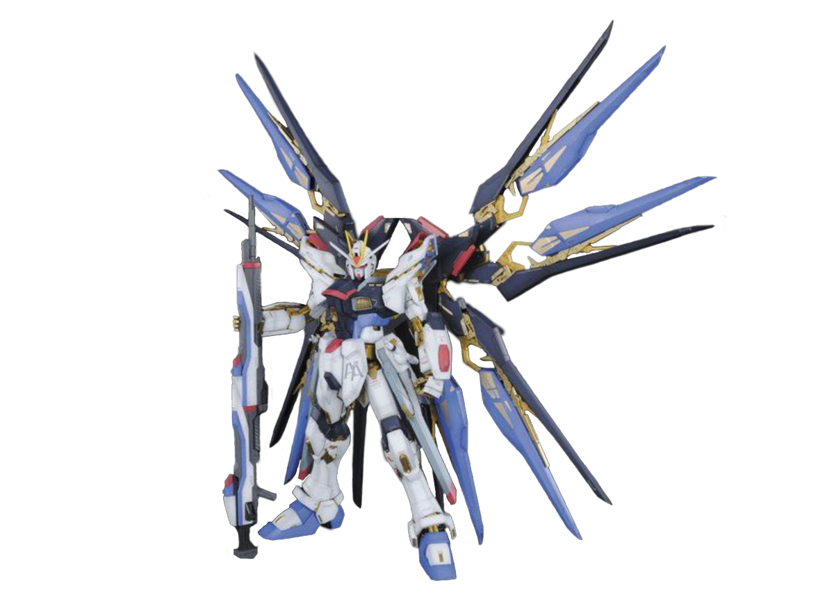 Bandai Toys BAN2251374 1-60 Scale PG Strike Freedom Gundam Plastic Model&#44; Multi Color