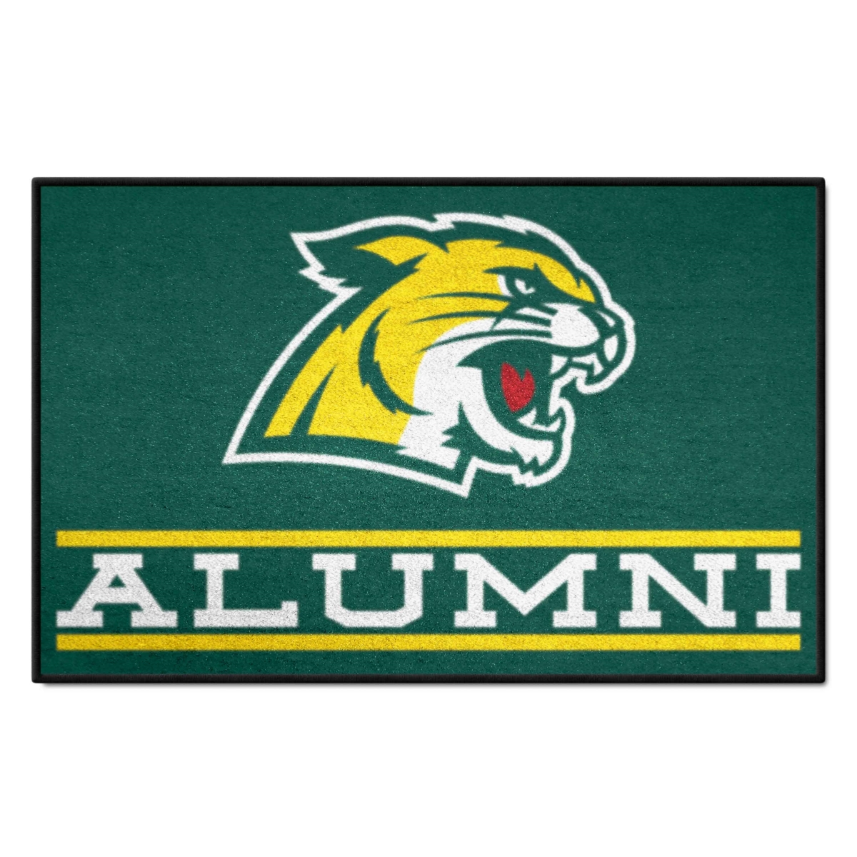 Fanmats 38865 19 x 30 in. Northern Michigan University Wildcats Starter ...