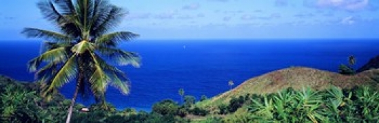 ppi37349l pigeon point tobago poster print by panoramic images 36 x 12