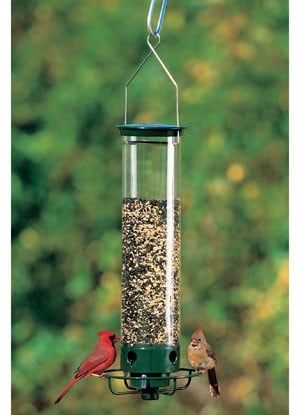 Go Fish Droll Yankees Inc Squirrel Proof Yankee Flipper
