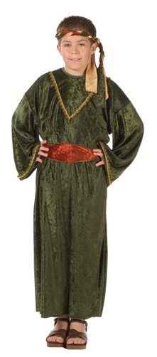 rg costumes deluxe wiseman