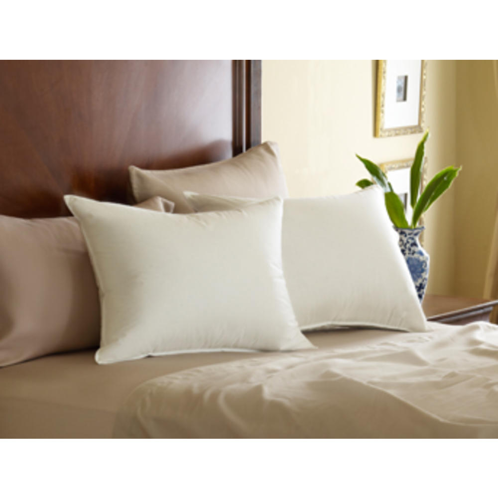 GoLinens Pacific Coast Eurofeather Fill Pillow With Extra Small Feathers[30 Day Comfort Guarantee & 5 yrs Warranty]