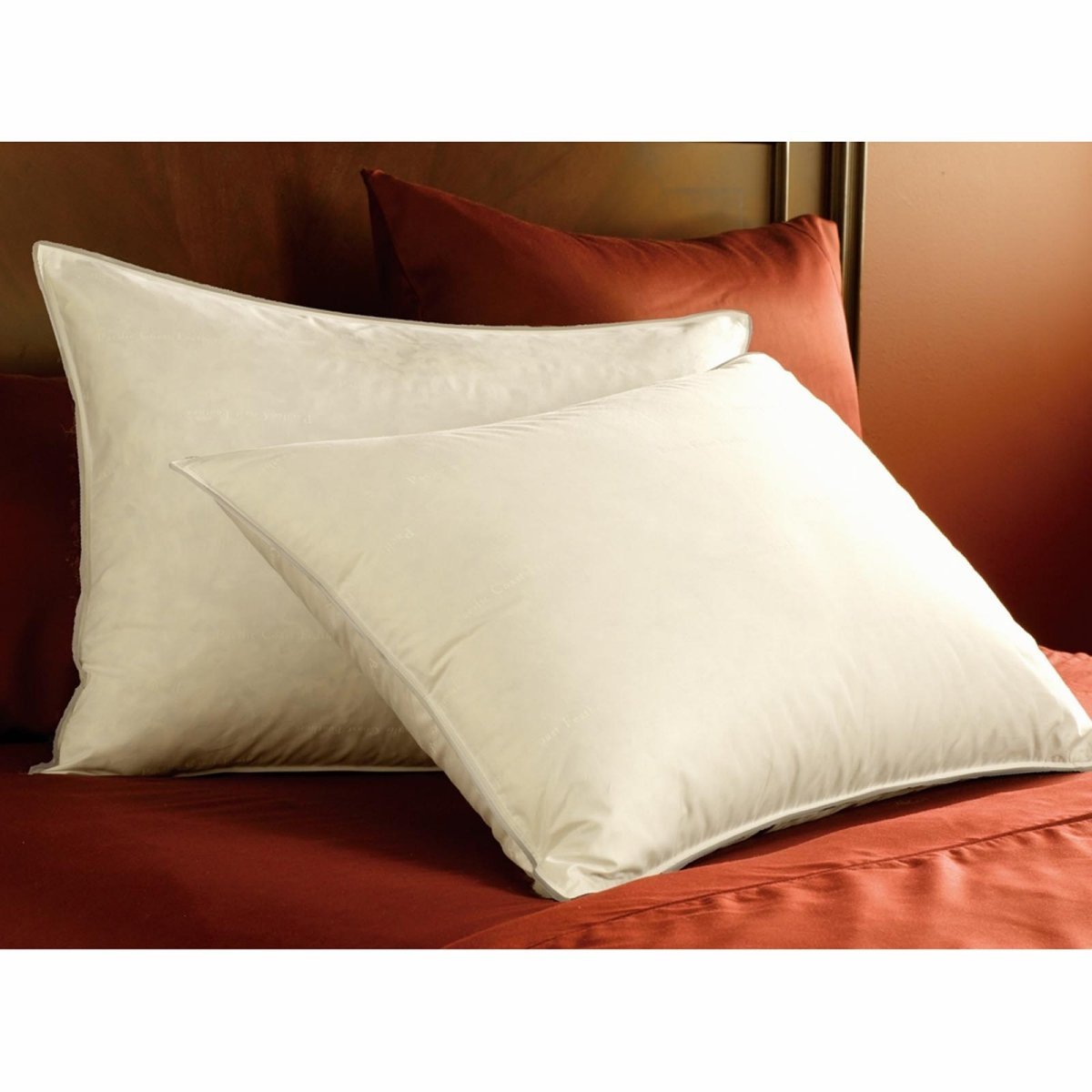 GoLinens Pacific Coast Double Down Around CASE OF TEN (10) STANDARD Pillows  - 300 Thread Count Cotton  with AllerRest Fabric