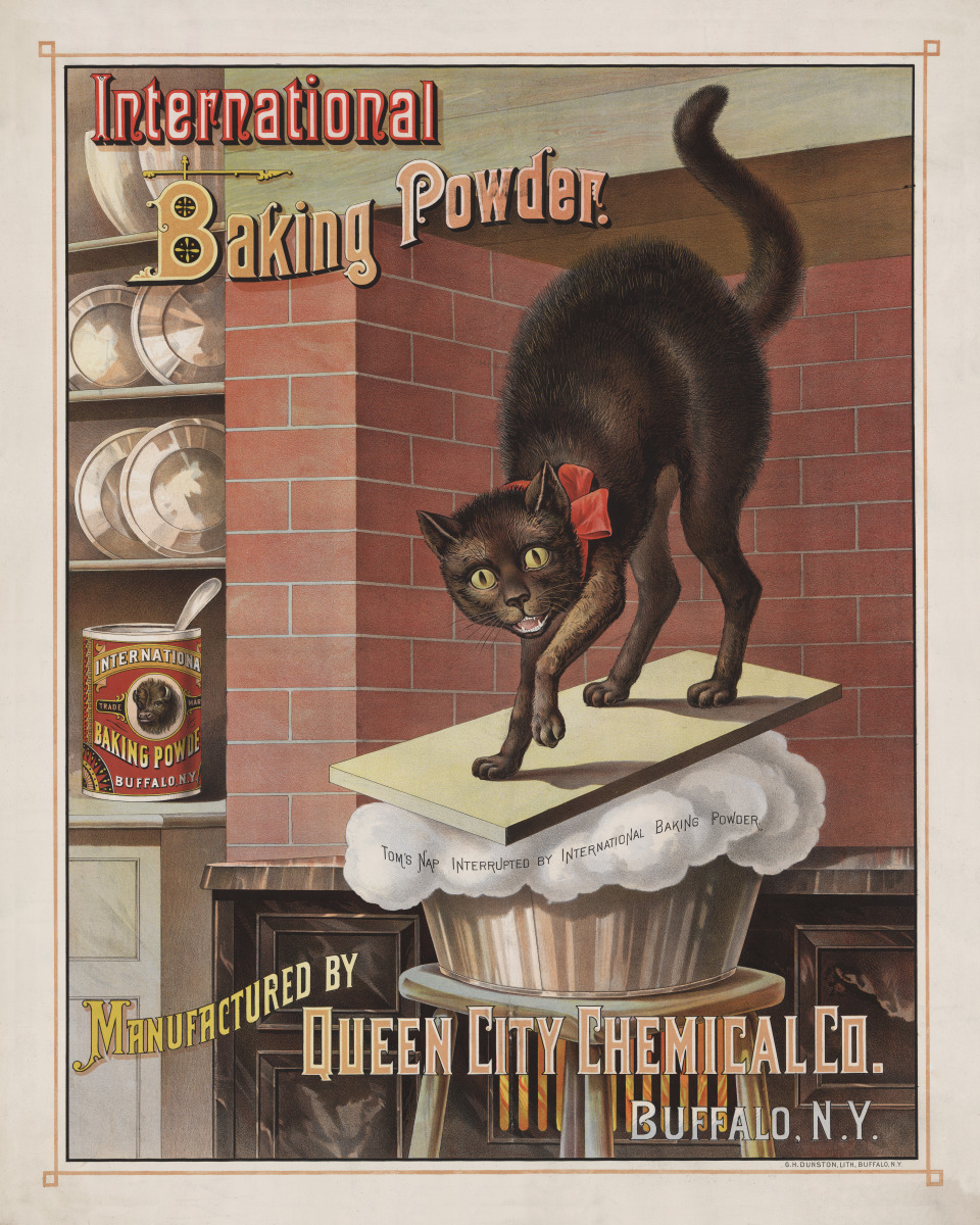 Photo Print 8x10: International Baking Powder. Manufactured By Queen City... by ClassicPix.com