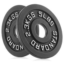 Philosophy Gym Set of 2 Standard Cast Iron Olympic 2-inch Weight Plates (5 LB each)