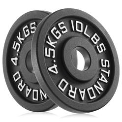 Philosophy Gym Set of 2 Standard Cast Iron Olympic 2-inch Weight Plates (10 LB each)