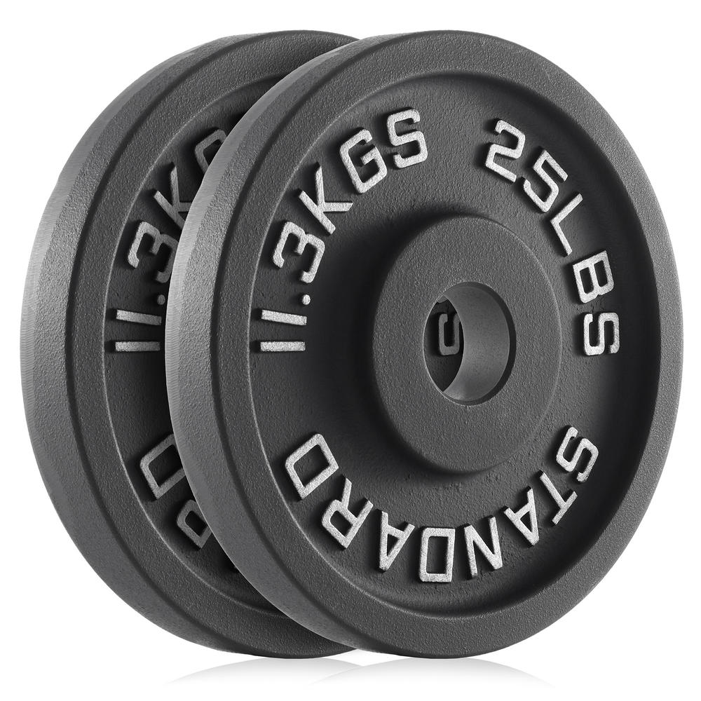 Philosophy Gym Set of 2 Standard Cast Iron Olympic 2-inch Weight Plates (25 LB each)