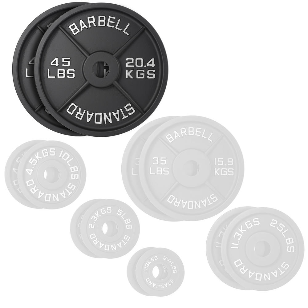 Philosophy Gym Set of 2 Standard Cast Iron Olympic 2-inch Weight Plates (45 LB each)