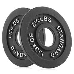 Philosophy Gym Set of 2 Standard Cast Iron Olympic 2-inch Weight Plates (2.5 LB each)