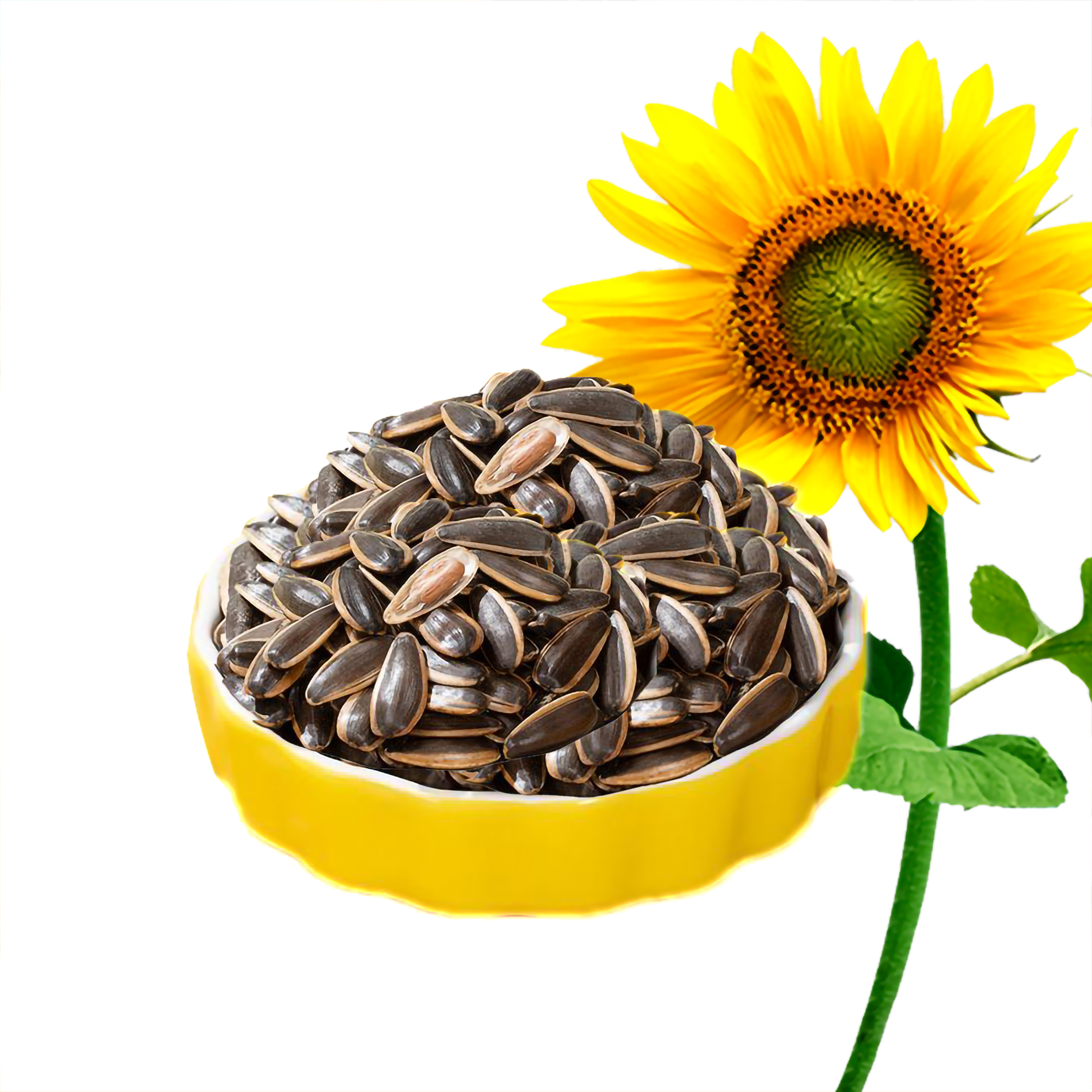 FixtureDisplays 8 oz Pack of 1 Roasted Sunflower Seeds Chinese Style Pecan Flavor Guazi Shanhetaowei 21937