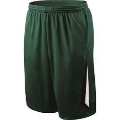 HOLLOWAY Youth Mobility Shorts - 229266-C