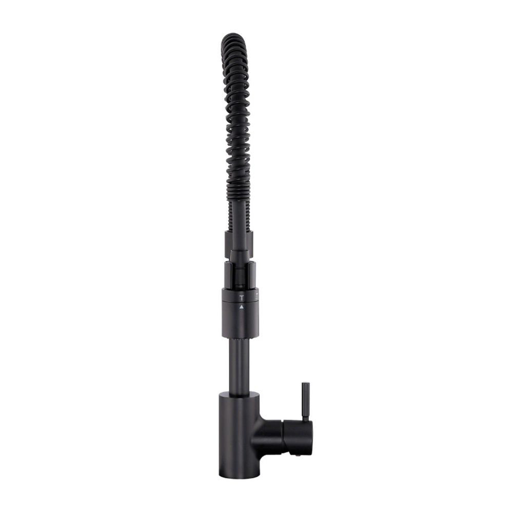 Danze Dh450188bs The Foodie Noir 1 75 Gpm 1 Handle Pre Rinse Pull
