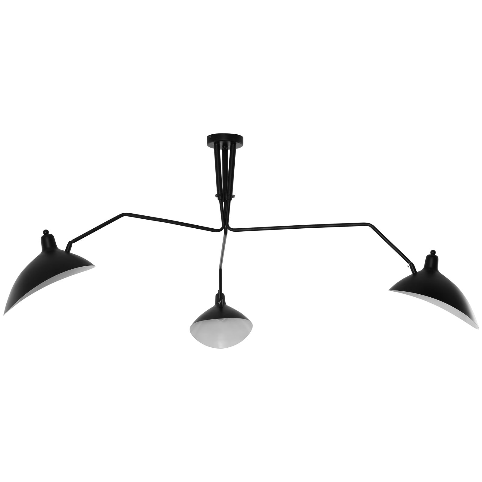 EASTEND IMPORTS Black View Ceiling Fixture