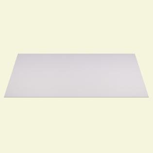 Acp Genesis Smooth Pro White 2 X 4 Foot Lay In Ceiling Tile