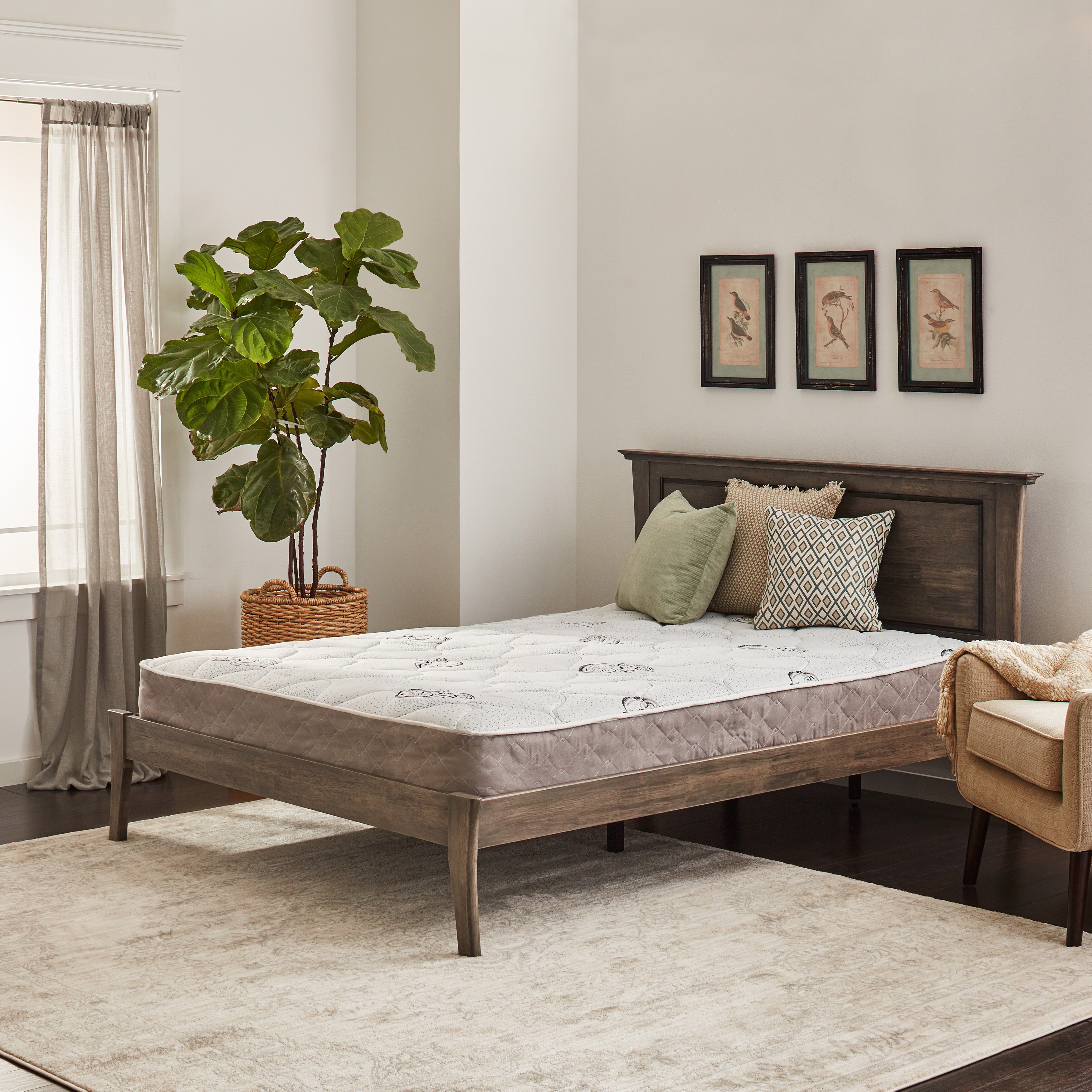 Wolf Mattresses Mattress Pure And Simple Twin Xl Size Wolf Mattresses Mattress Pure And Simple Twin Xl Size Plush Tight