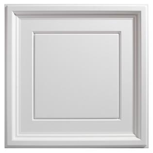 Acp Genesis Icon Coffer White 2 X Ft Lay In Ceiling Tile