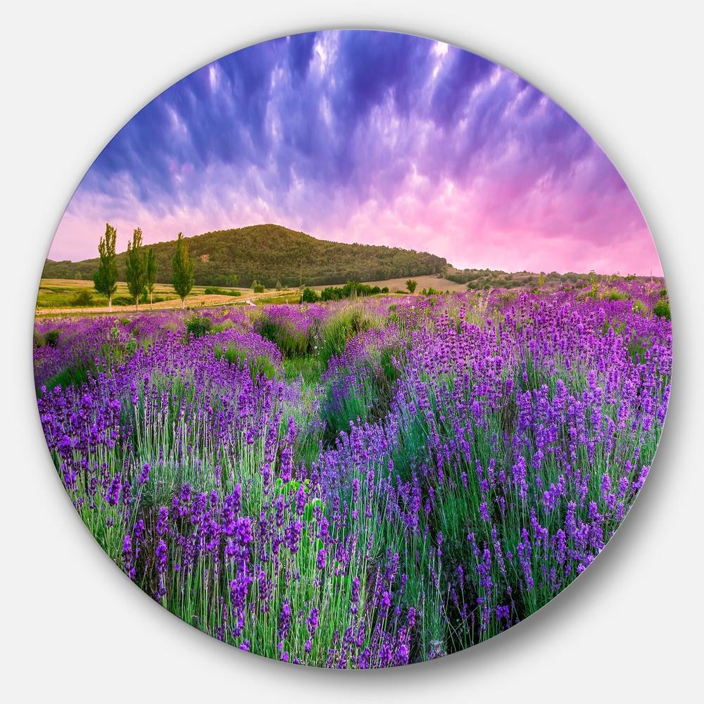 DESIGN ART Designart 'Summer Lavender Field in Tihany' Modern Landscape Round Wall Art