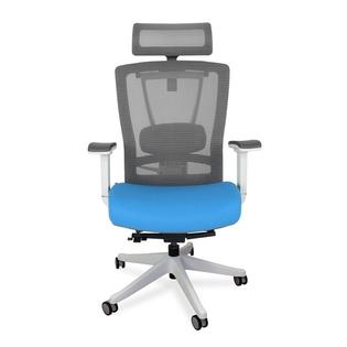 Vifah Autonomous Ergochair Premium Ergonomic Office Chair