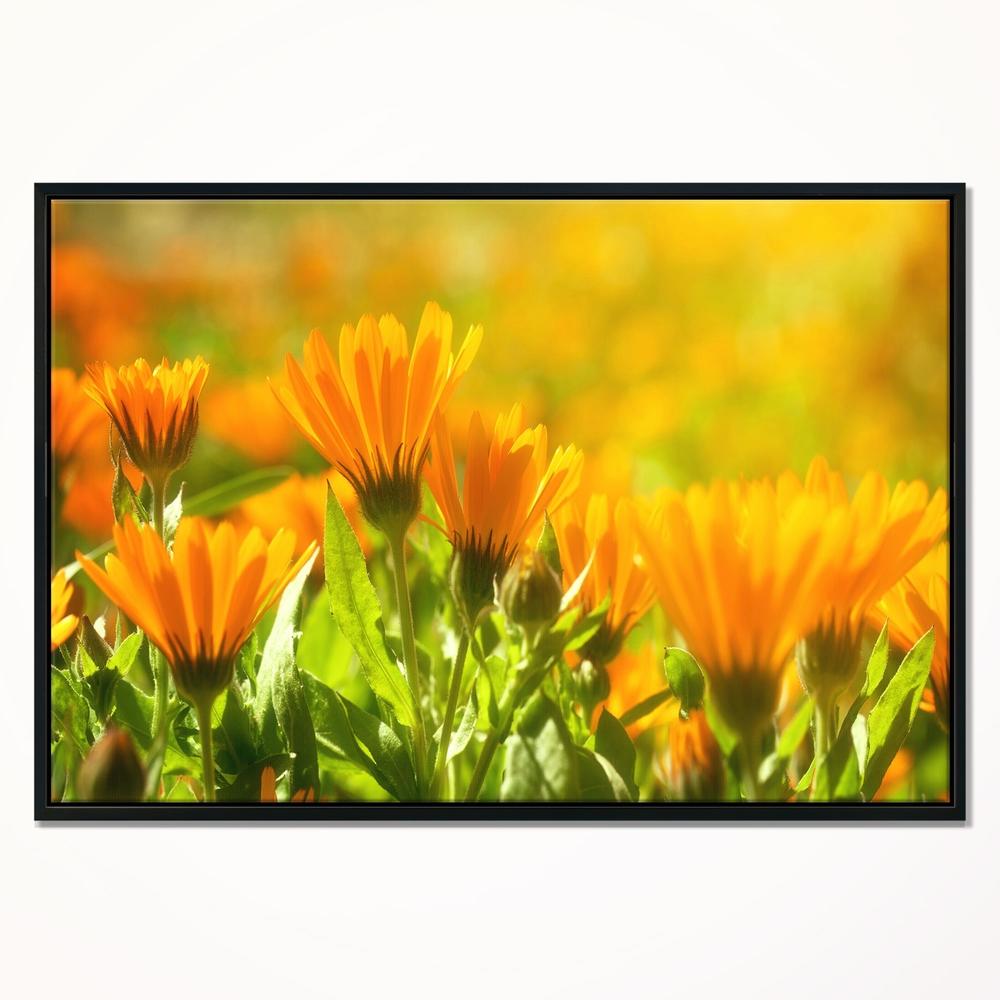 DESIGN ART Designart 'Orange Marigold Flowers in Sunlight' Floral Framed Canvas Art Print