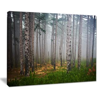 Design Art Dense Misty Forest Landscape Photography Canvas Print Green Design Art Dense Misty Forest Landscape Photography Canvas Print Green