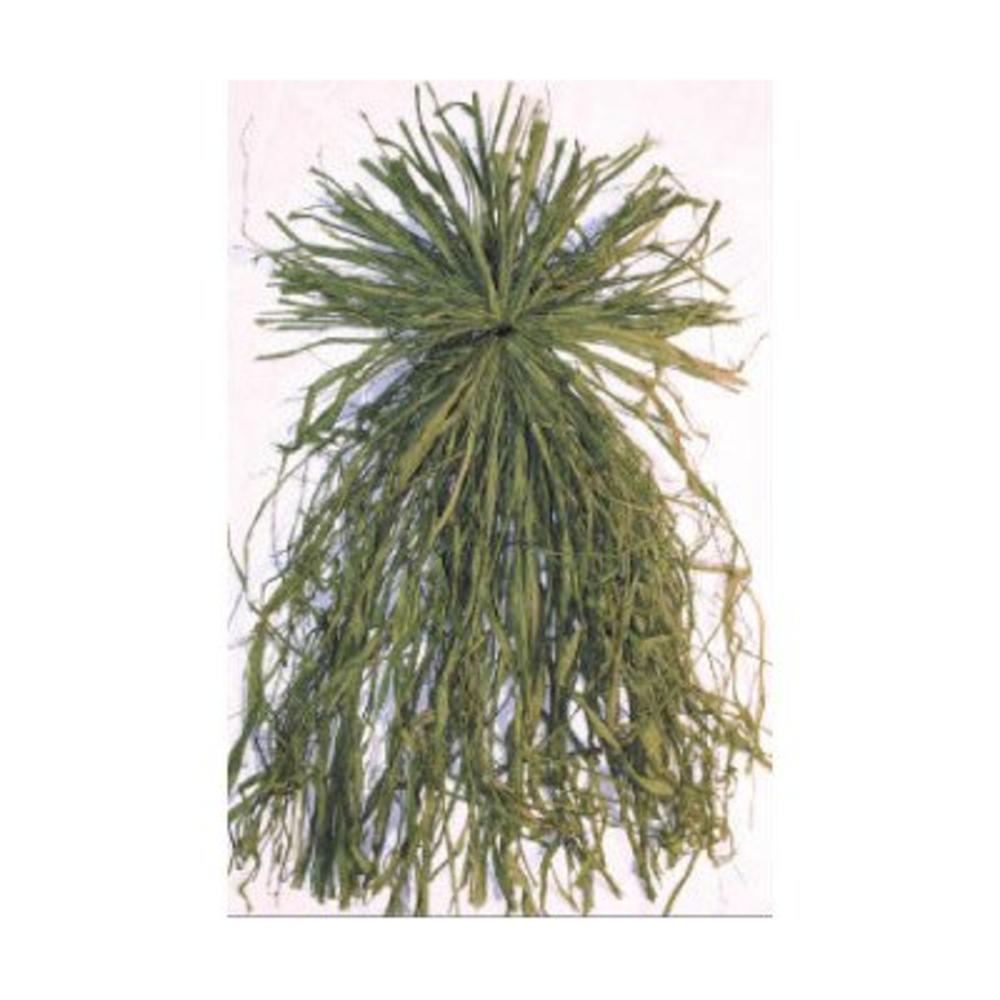 DOA Decoys 400160 Ghillie Grass Green (All natural raffia grass bundle)