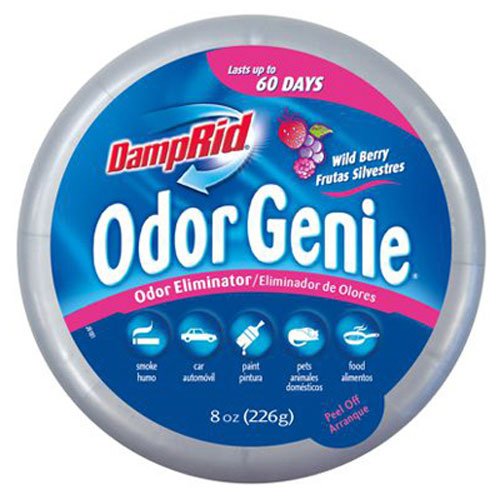 DampRid FG69H Odor Genie Odor Eliminator in Wild Berry, 8-Ounce
