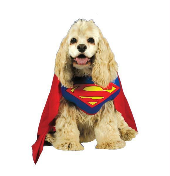 Morris Costumes Superman Pet Costume Large